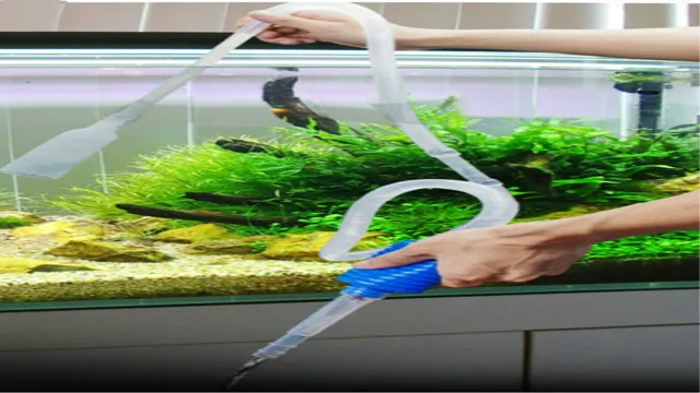 How to Clean Aquarium Gravel Without a Siphon: Easy and Effective Tips