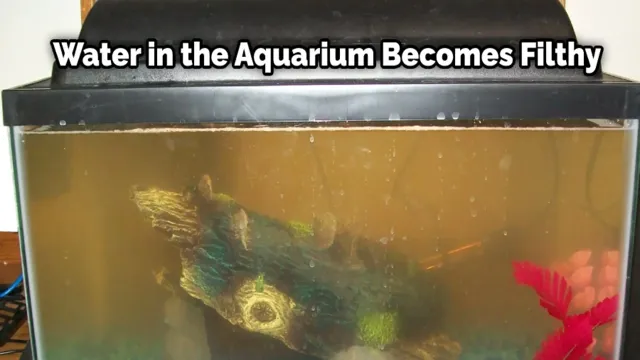 how to clean aquarium gravel without removing water