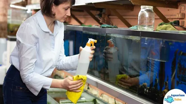 How to Clean Aquarium Gravel Without Vacuum: A Complete Guide