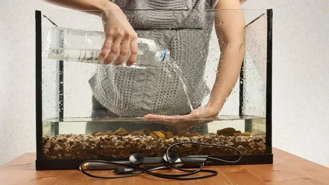 how to clean aquarium heater