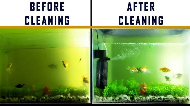 How to Clean Aquarium In-Tank Filter Air: A Step-by-Step Guide