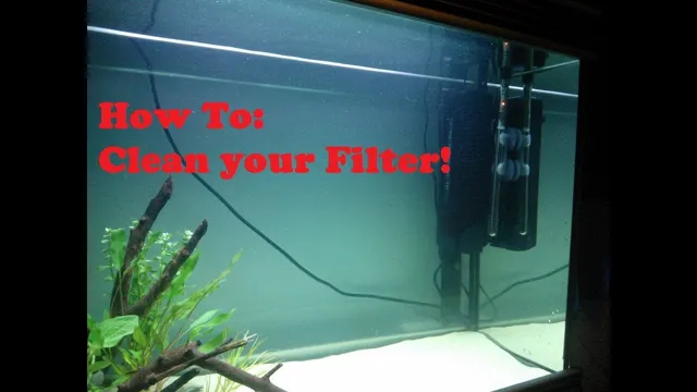 How to Clean Aquarium Internal Filter: A Step-by-Step Guide for Sparkling Clear Water