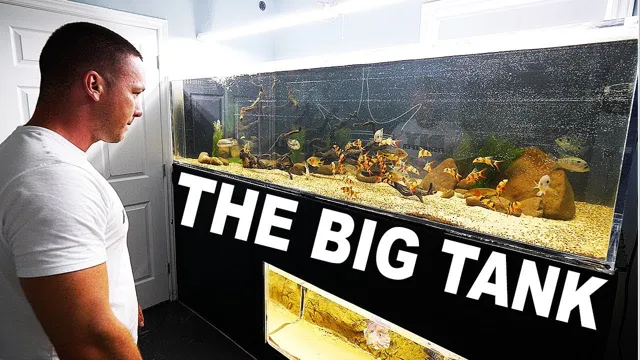 How to Clean Aquarium – King of DIY’s Top Tips for Sparkling Tanks