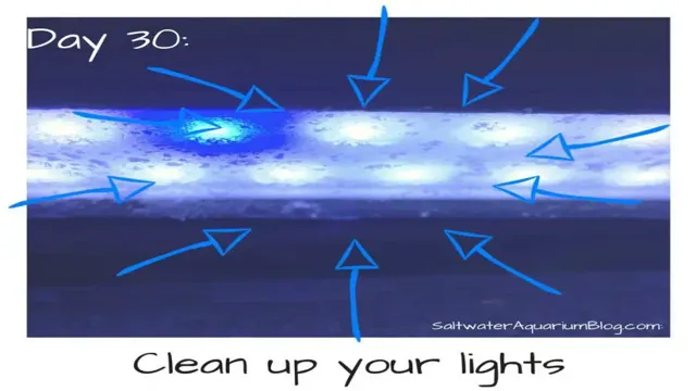 how to clean aquarium light