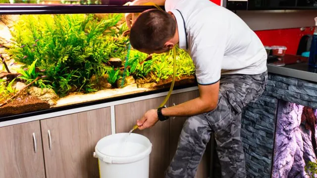 How to Clean Aquarium Media: A Step-by-Step Guide for Crystal Clear Water