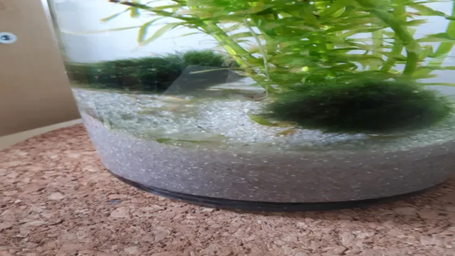 how to clean aquarium moss balls
