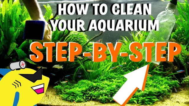 How to Clean Your Aquarium Planted Tank to Ensure a Healthy Environment: Tips and Tricks