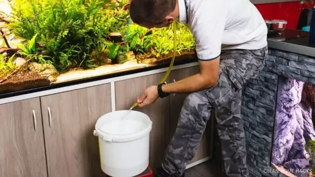 How to Clean Aquarium Plants with Vinegar: A Step by Step Guide