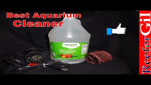 How to Clean Aquarium Powerhead in 5 Easy Steps – Ultimate Guide