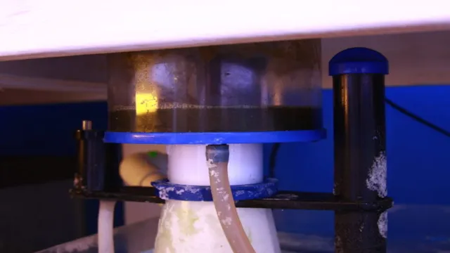 how to clean aquarium protein skimmer