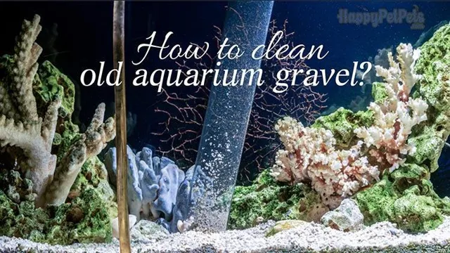 How to Clean Aquarium Rocks and Decorations: The Ultimate Guide for Sparkling Fish Tanks