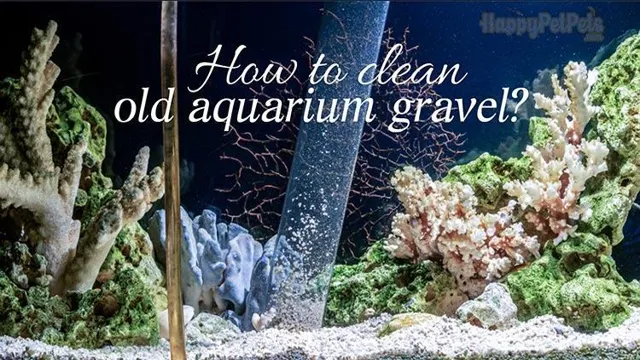 how to clean aquarium rocks boil