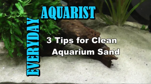 How to Clean Aquarium Sand the Easy Way: Top Tips for Effortless Maintenance