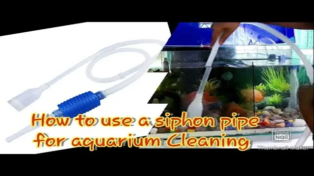 How to Clean Aquarium Siphon Tubing for a Clear and Healthy Tank