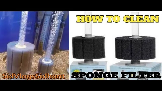 how to clean aquarium sponge filter