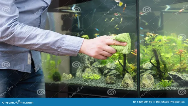 How to Clean Aquarium Surface: The Ultimate Guide to Maintaining a Crystal-Clear Tank