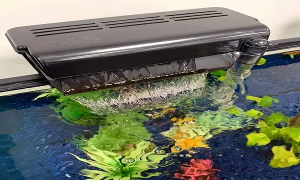 How to Clean Aquarium Undergravel Filter: A Step-by-Step&hellip;