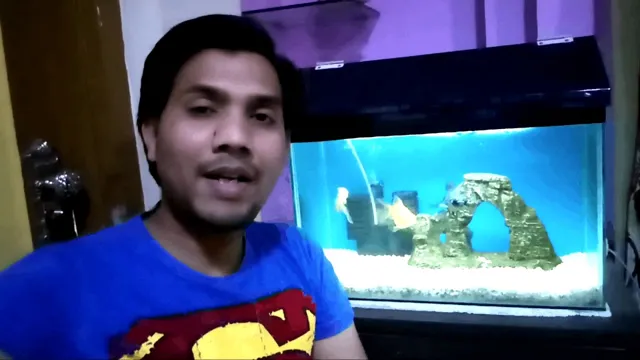 how to clean aquarium water in hindi