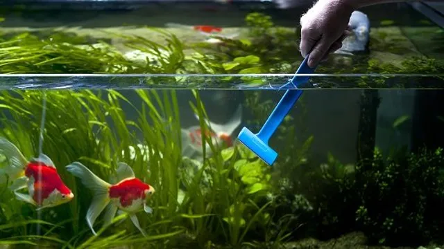how to clean aquarium water without filter