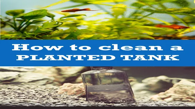 how to clean aquarium with plants