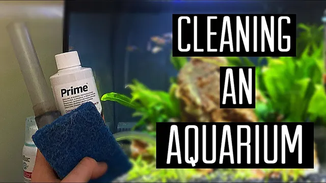 how to clean aquariums for an experiment