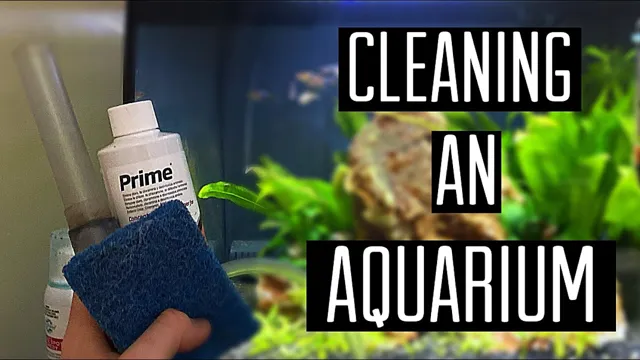 How to Clean Artificial Aquarium Plants in an Aquariums: Tips and Tricks