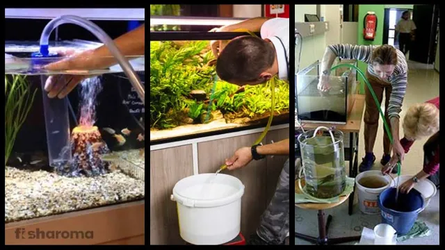 how to clean biohome aquariums