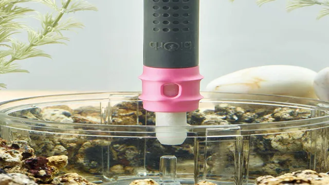 How to Clean Biorb Aquarium: Easy Tips and Tricks for Crystal Clear Water