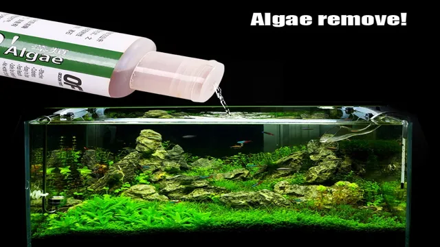 how to clean brown algae off aquarium decorations