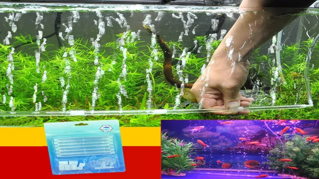 how to clean bubbler wand for aquarium