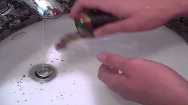 how to clean bubbler wand for aquarium