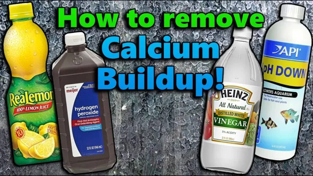 how to clean calcium buildup on aquarium