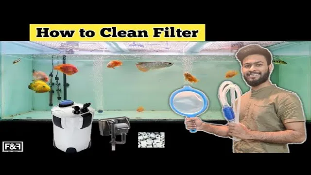 how to clean ceramic filter media aquarium