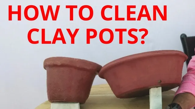 how to clean clay pots for aquarium