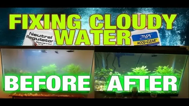 how to clean cloudy water in aquarium