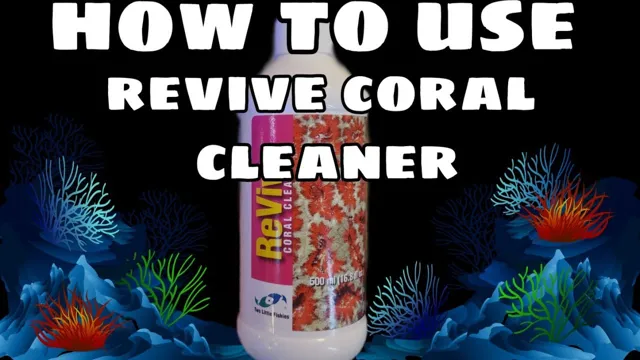 how to clean coral for aquarium