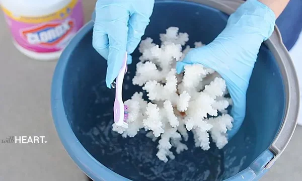How to Clean Coral for Aquarium: A Step-by-Step&hellip;