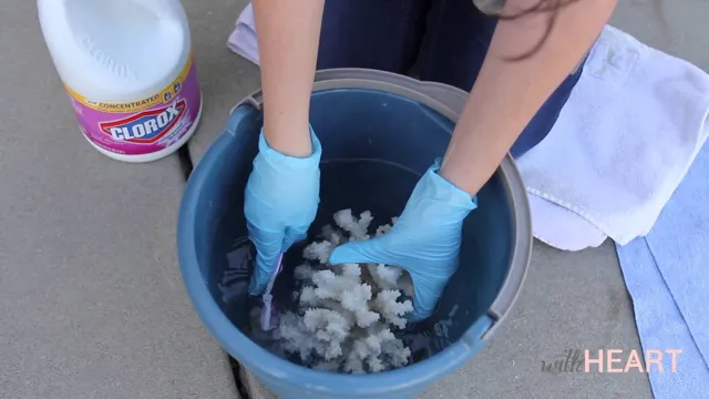 How to Clean Coral Stone for Aquarium: Step-by-Step Guide