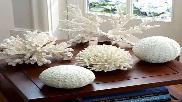 how to clean dead coral for freshwater aquarium