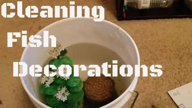 How to Clean Decorations in Aquarium: Tips and Tricks for Spotless Aquarium Decor