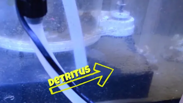 how to clean detritus in aquarium