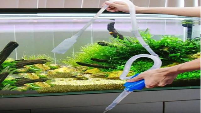 how to clean dirt for aquarium