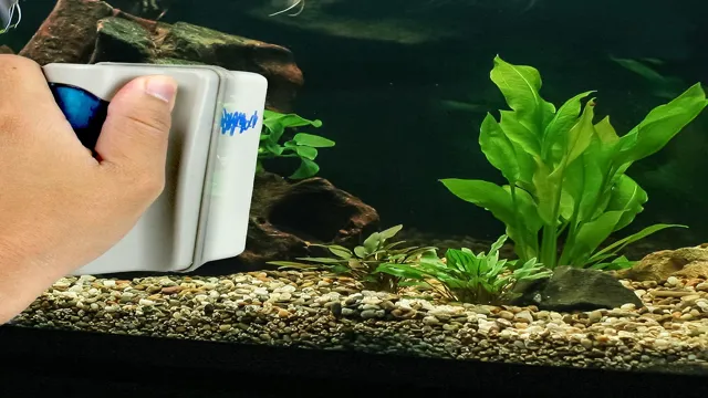 how to clean dirty aquarium hardwater