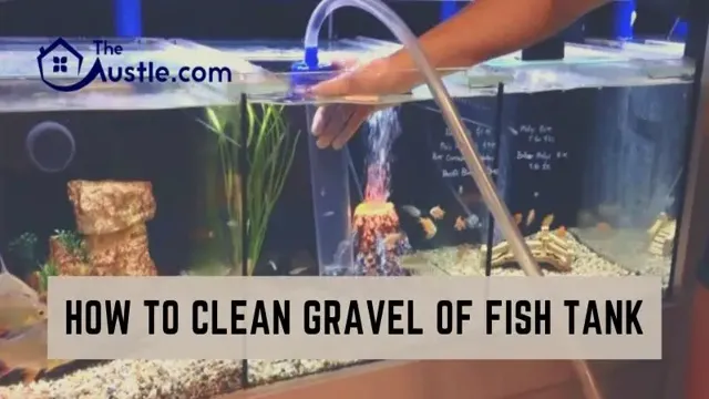 how to clean dirty gravel in aquarium