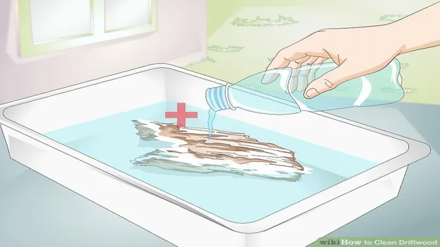 how to clean driftwood for aquariums