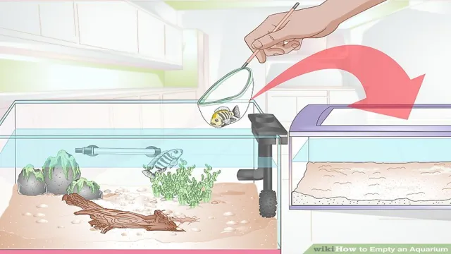 how to clean empty aquarium