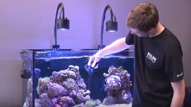 how to clean empty aquarium glass