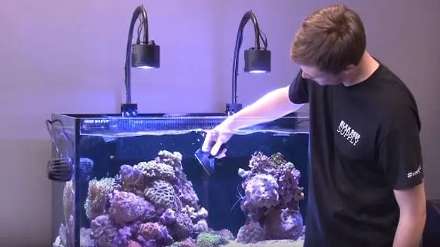 How to Clean Empty Aquarium Glass: Tips for Sparkling and Crystal Clear Fish Tank