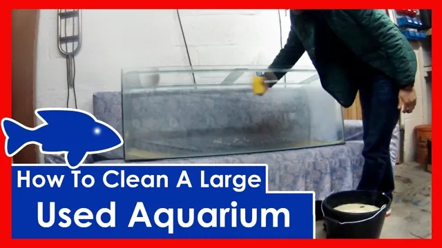 How to Clean Empty Aquarium: A Comprehensive Guide for Sparkling Clean Tanks