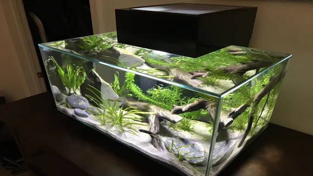 How to Clean Exterior Glass of Fluval Edge Aquarium: A Step-by-Step Guide